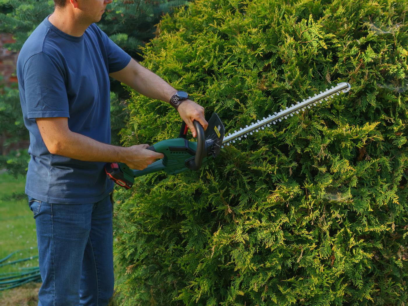 Boxwood hedges shaped into a neat rectangle along a residential walkway.
